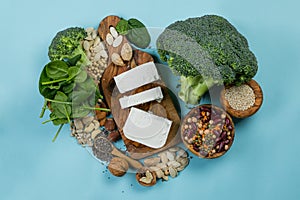 Selection of vegetarian protein sources - healthy diet concent
