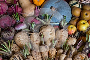 A selection of vibrant fruit and vegetables at harvest time