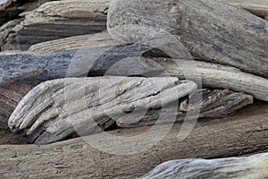 Selection Of White Washed Driftwood