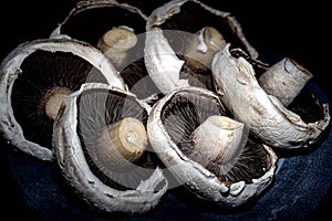 Selections  of  portobello mushrooms   together