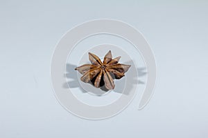 Selective blur on an star anise isolated on a white grey background, a single one, alone. Anise, or aniseed, is a spice, the