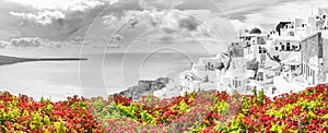 Selective color panorama of Oia Santorini, Greece. Fantasy artistic white architecture dramatic sky and flowers