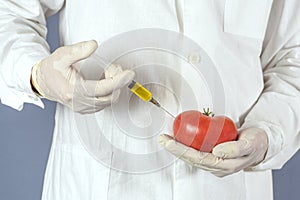 Selective focus agricultural lab worker injecting tomato with nitrates to keep it fresh, gmo