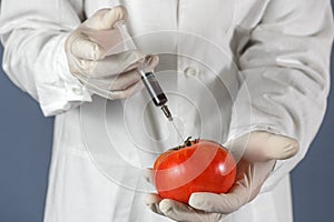 Selective focus agricultural lab worker injecting tomato with nitrates to keep it fresh, gmo. Close up