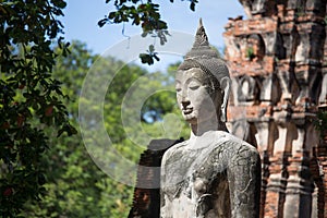 Selective focus of beautiful Buddha statues in Wat Mahathat Thailand