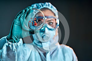 Selective focus of biochemist taking biomaterial from petri dish with tweezers