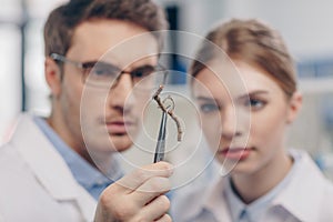 Biologists working with root photo