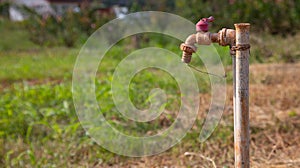 Selective focus with blurred background of grunge and rusty faucet installed in the field of remote rural area for people living