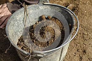 Selective focus, bucket full of soil in an archaeological excavation