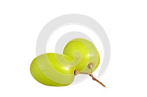 Selective focus of bunch green grapes isolated on white