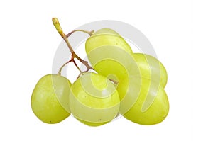 Selective focus of bunch green grapes isolated on white