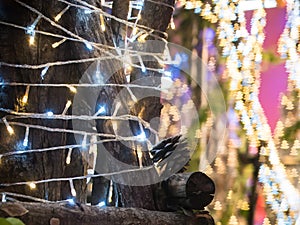 The selective focus on the christmas light decoration on the tree with conifer or pine fruit. This makes the background light dec