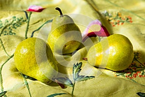 Selective focus closeup of Bartlett pears on raw silk acid-green embroidered throw