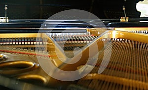Selective focus closeup view on hammers and strings inside grand piano