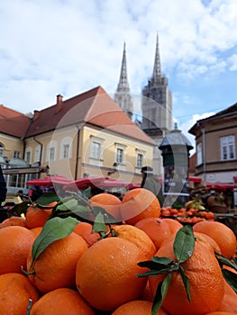 Selective focus closeup view of Mandarins in the Dolac Market  in Zagreb, Croatia