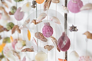 Selective focus of Colorful Mobile Shell on white wooden background