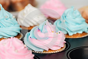 Selective focus of delicious blue and pink cupcakes decorated with sprinkles in cupcake tray.