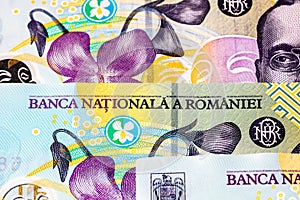 Selective focus on detail of lei banknotes. Close up macro detail of romanian lei banknotes, 100 lei isolated. World money concept