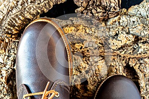 Selective focus of a detail of the toe of a brown leather hiking boot on tree bark