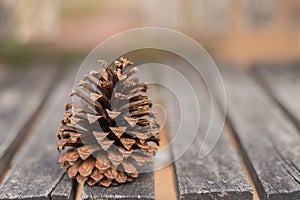 Selective focus Dry pine on the pattern perspective wood background