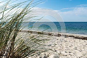 Selective focus of an empty beach and calm ocean with grasses in the foreground photo