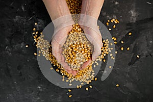 selective focus, female hands holding corn kernels