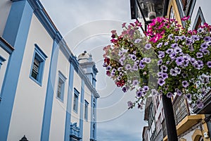 Selective focus on flowers in vase hanging from street lamp with church of mercy in perspective in Terceira island, Azores