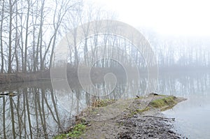 Selective focus of a foggy and scary lake surrounded by trees - great for wallpapers