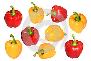 Selective focus fresh  mix bell pepper or sweet pepper or capsicum on white background isolated and clipping path. Food popular in