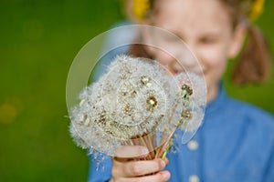 Selective focus. A girl holds a dandelion flower in front of her in nature in summer. Happy child with a dandelion wreath on his