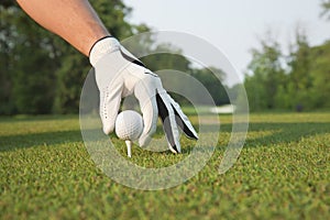 Selective focus of golfers hand placing ball on tee