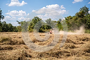 Selective focus grass, Agriculture tractor harvesting pangola grass using mechanical devices, animal feed