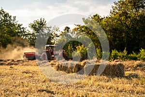 Selective focus grass, Combine tractor harvester harvests pangola grass. agriculture. animal feed