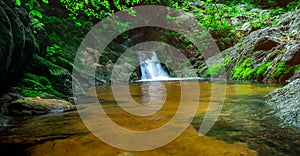 Selective focus green moss on rock surface at small waterfall in jungle. Waterfall in tropical forest with green plant and