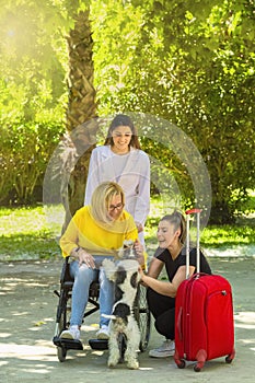 Selective focus of a group of women, one of them in a wheelchair, pet a cheerful dog at a park