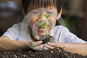 Selective focus of hands Asian child boy holding a little green plant with soil. Growing tree. Spring season. Save environment.