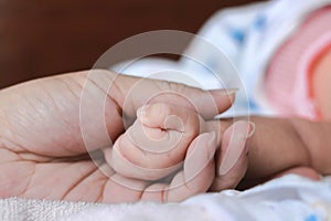 Selective focus on hands of newborn tiny baby and parents