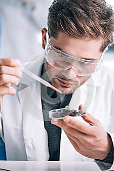 selective focus of handsome bearded biochemist