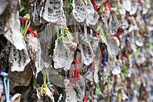 Selective focus of hanging paper wishing at Japanese Inari shrine or temple, Japan on a rainy day