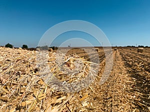 Selective focus of hay bale on blurry background field with rolls of hay