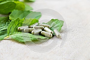 Selective focus at Herbal medicine in capsule on brown wood surface, with green  holy basil leaf herb at the background.