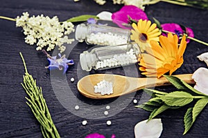 Selective focus on Homeopathic Medicine pills on spoon and medicinal bottles, decorated with fresh various herbal plants.