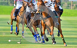 Selective focus the horse polo players