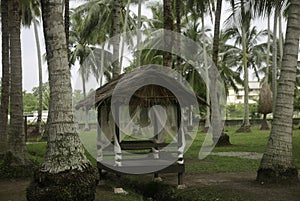 Selective focus of a hut in a coconut farm