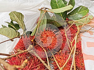 Fresh rambutans in plastic bag.