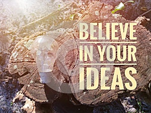 Selective focus.Inspirational motivating quotes with bulb on a wooden background.Believe in your idea.