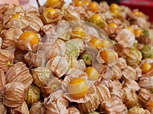 Selective focus of juicy ripe Cape gooseberry fruits, Physalis peruviana, Goldenberry, Poha, for sale at a local market