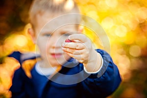 Selective focus. A little boy in the autumn Park holds a berry in his hands. Children walk in the autumn Park