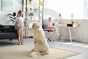 selective focus of little children playing with golden retriever dog