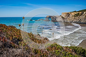 Maritime vegetation at AmÃ¡lia beach with turquoise sea and cliffs, BrejÃ£o - Odemira PORTUGAL photo